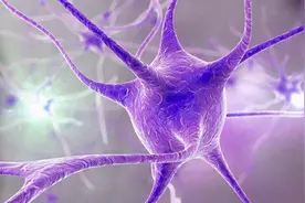 如果你的身体没了，但大脑还在，那是否能活在虚拟世界中？图片