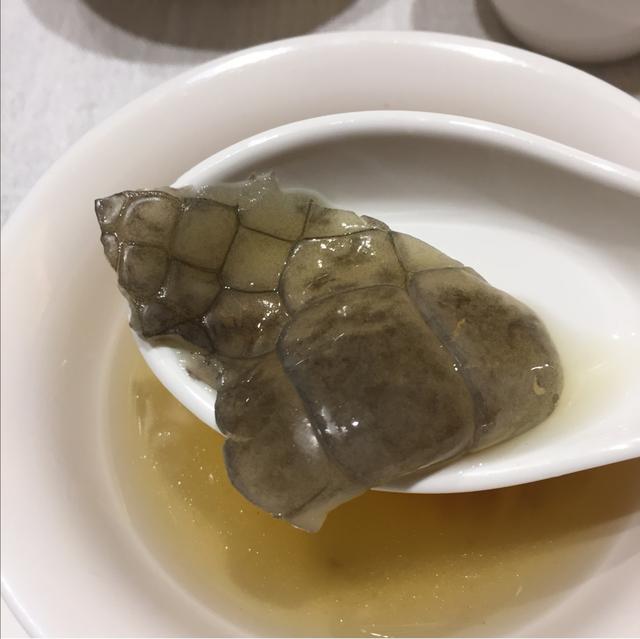 花胶鳄鱼肉炖瘦肉有什么功效 2026年花胶鳄鱼肉炖瘦肉有什么功效