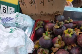 山竹大量上市，一棵果树结上千个果子，为何还那么贵？图片