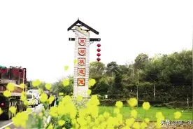 镜头里的「泉湖二月八」图片