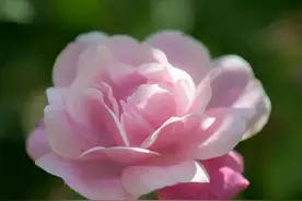 “弟弟就一个，丈夫可以换，宁愿离婚也要补贴”离婚半年，她哭了图片