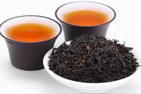 陈年普洱中的黄曲霉素，和投毒扯上了关系？手里的茶杯该放下吗图片
