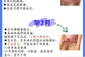 孕期干货，怀孕后每月身体变化图片