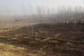 现在下地干活不要抽完烟把烟头丢到草堆里，很容易引起火灾。图片