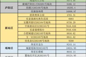 合肥下半年50大纯新盘入市，为何这里“房荒”比市区还严重？图片