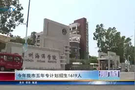 石狮：招生计划来了 !1619人图片