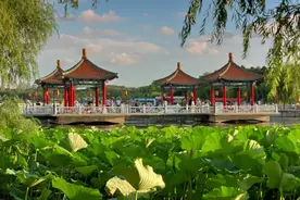花海、湖泊、绿意盎然...好玩又凉快！图片
