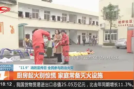 厨房起火别惊慌，家庭常备灭火设施视频封面