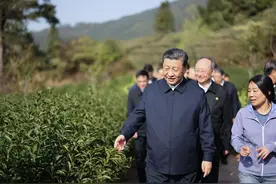 网友评论亮了：激动的心，颤抖的手，习大大来到家门口图片
