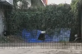 搞笑GIF：女司机，方圆十里寸草不生图片
