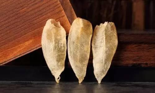 一立花胶鱼肚 2026年花胶鱼肚的功效与作用