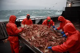 周薪30000美金，职业捕蟹人，每次出海都是一次生命之旅图片