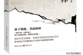 神秘老金与赌神河南——最后的棒棒读书笔记7图片