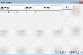 学习VB编程第65天，表格式数据录入与查询图片