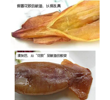 假的花胶吃了以后 2026年花胶假的吃了会怎样