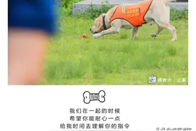 我与你的十个约定图片