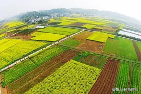 农民私自互换耕地，未办手续。征地时，一方反悔，20万征地款归谁图片