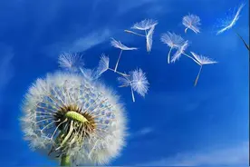 我不在你身边，你却是我爱的唯一，是我思念的全部图片