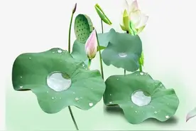 原来沆瀣一气中沆瀣二字原意境这么美图片