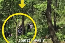 担心的事情终于发生了！11岁女孩玩高空项目坠落，安全绳形同虚设图片