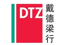 REITs·专访｜戴德梁行估价及顾问服务部董事刘慧：公募REITs将促使资产运营能力得到提高图片