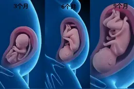 怀孕7-9个月胎儿进入猛涨期，孕妈做好7点，别给娃生长“拖后腿”图片
