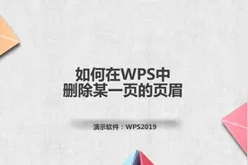 如何在WPS中删除某一页的页眉图片