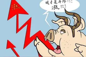 "某夕夕"上猪肉16元一斤！为何市面上的猪肉价格差那么多？图片