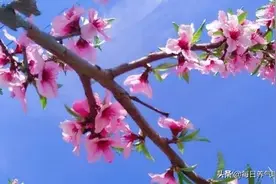 气能量Ⅱ篇10：豪气的能量（3）图片