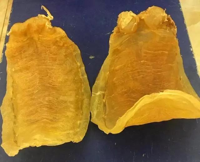 红鸡赤嘴鳘鱼胶不能碰 2026年红鸡赤嘴鱼胶的功效和作用