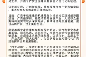 一图读懂丨详解“四大战略”图片