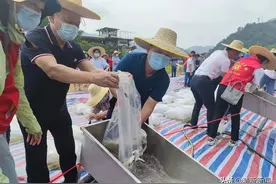 鱼鱼鱼鱼鱼！80余万尾！放图片