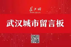 电动自行车如何通行长江大桥？相关回复来了图片