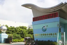 汕头实丰文化年报解读图片