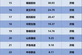 从上市公司半年报 解析济南企业实力图片
