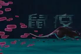 银川确诊的黑死病，比“新冠”还高一级，农民更易感，咋保护自己图片