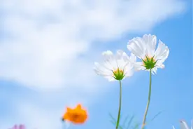 一个人，穿什么样的衣服，戴什么饰品，就说明他有什么样的涵养图片