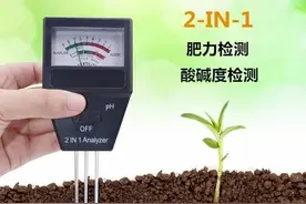 果树缺磷难成花！但磷肥补的多不如补的巧图片