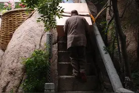 八达岭野生动物园，我观虎来也拜佛图片