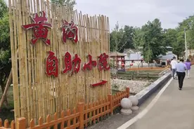 鲁山县黄沟村：打造农家自助小院 实现集体农户共赢图片