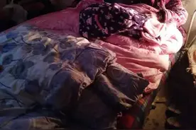 瘫痪母亲“溺便”在床，竟然要求儿子直接用手清理粪便图片