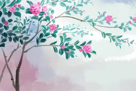 一个人，若是你命中注定的“正缘”，就会给你这3种感觉图片