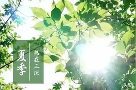 入伏这一天吃什么对身体比较好图片