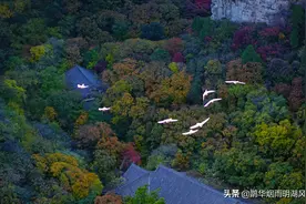 继乾隆《大阅图》之后，济南龙洞又发现了宋徽宗《瑞鹤图》景色图片