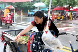 儿子残疾儿媳常年患病，76岁奶奶每天几十里路卖菜为孙女续命图片