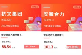20200518杭叉合力财报详细对比图片