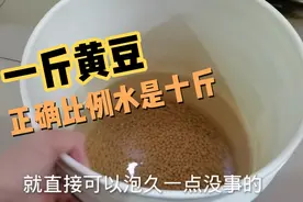 一斤黄豆正确放水的比例，听小猪给大家说说豆浆里的那些事！视频封面