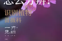 #一日一植物樱花、桃花、梅花、李花、梨花，傻傻分不清的建议收藏❤️  @抖音短视频视频封面