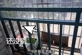 阳台栏杆生锈了，自己买了蓝色油漆刷了一下，怕甲醛就关了2道门视频封面