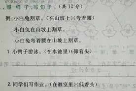 一年级语文，照样子写句子专项训练，小兔子在山坡上割草视频封面